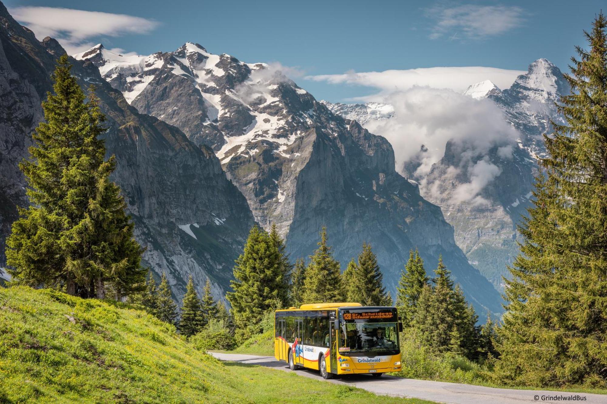 Parkhotel Schoenegg Гриндельвальд Экстерьер фото